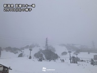 明日2月11日(火)のスキー場の天気・積雪 大雪で積雪増加 「建国記念の