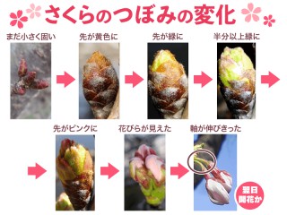 202502250225_top_img_A_320x240