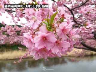 202503050175_top_img_A_320x240