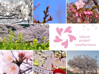 202503050255_top_img_A_320x240