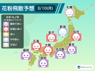 今日は花粉が大量飛散の予想 東京や名古屋など