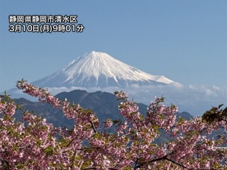 202503100155_top_img_A_320x240