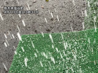 希少　気象　天然の雹　ひょう　千葉・茨城産　落ちたてホヤホヤ厳選採集 希少 気象 天然の雹 ひょう 千葉・茨城産 落ちたてホヤホヤ厳選採集
