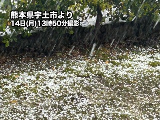 九州などに活発な雷雲が広がる 西日本各地で落雷や雹(ひょう)に警戒