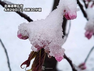 北海道の雪 maxresdefault.jpg