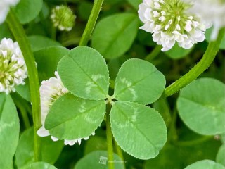 202505230126_top_img_A_320x240