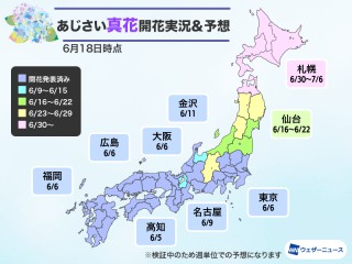 西日本、東日本で続々とあじさい開花発表 見頃シーズン到来 - ウェザー