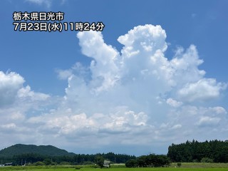 関東甲信の山沿いは今日も午前中から雷雲が発達 - ウェザーニュース