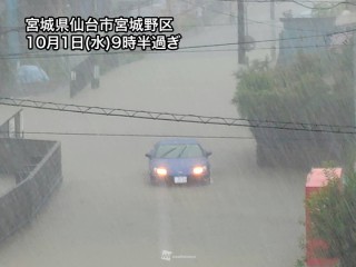 雨がやみ様 JDM Legend] 
