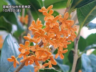 202510030056_top_img_A_320x240