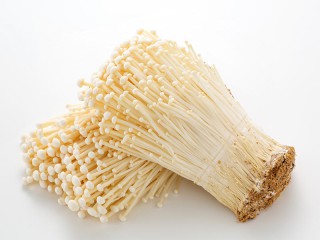 202510100176_top_img_A_320x240