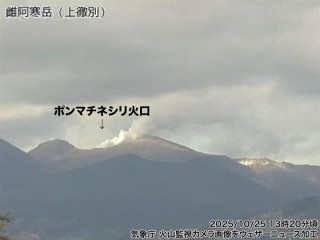 火影岩　縦約30センチ　横約58センチ ウィルトンラグ「Cheminee シェミニ」全3色 全5サイズ 防炎 | 【公式