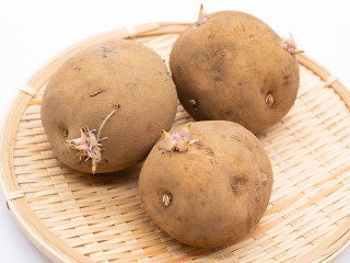 みどりじゃが みどりじゃが 緑色に変色した新じゃがいもは食べられる？八百屋が解説（青