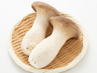 202511040246_top_img_A_320x240