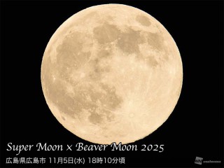 2025年最大の満月「スーパームーン」が夜空に昇る ビーバームーンとも