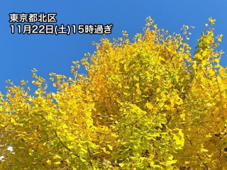 202511220186_top_img_A_320x240