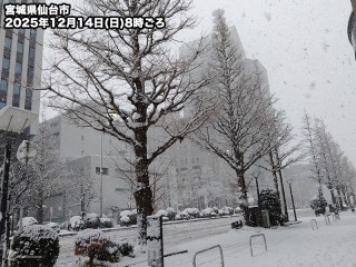今朝は東北各地で雪に 仙台市で積雪7cmを観測 - ウェザーニュース