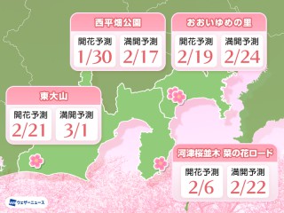 2026年 河津桜の開花・満開予想 河津町は2月下旬頃が見頃に - ウェザー