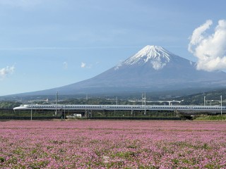 晴れた日の新幹線は車窓が抜群！ 富士山のビュースポット5選
