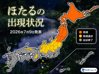 蛍の見頃予想・観賞スポット【2026】- ウェザーニュース