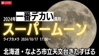 maxresdefault.jpg?1729151878