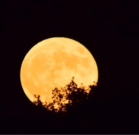夕陽を撮った場所で...