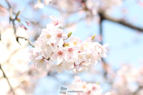 こちらも 3月31...