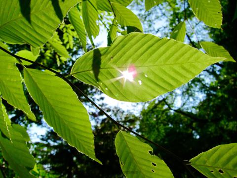 お疲れさまです。...