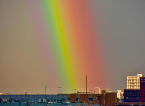 (oﾟ∀`o)ｱﾋ...