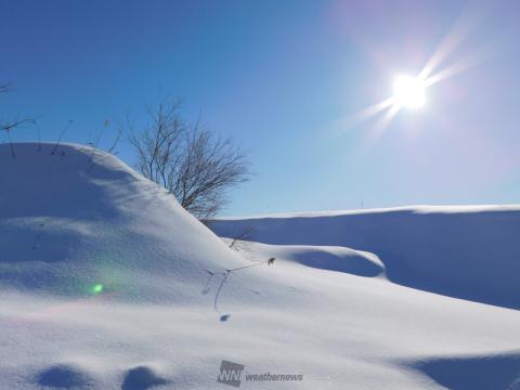 陽射したっぷり…...