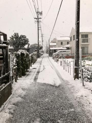 おはようございます...