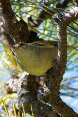 皆さん🎵こんばんは...
