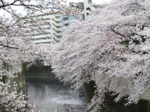 ここは文京区の江戸...