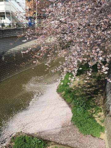 ○水面もピンク色に...