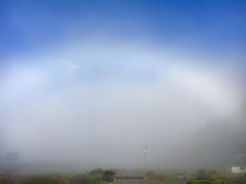 もう一枚♪今朝...