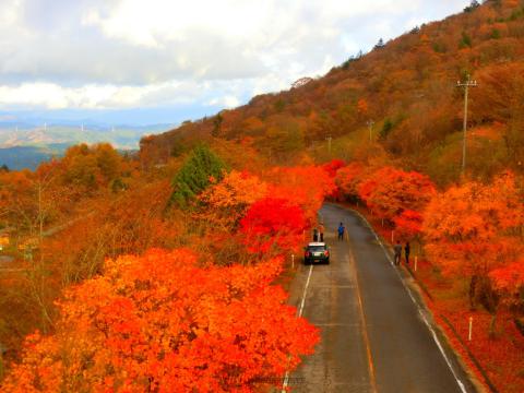 昨日の茶臼山高原で...