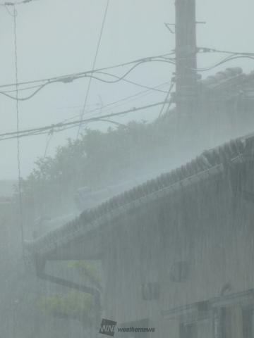 ぎゃ～    ます...