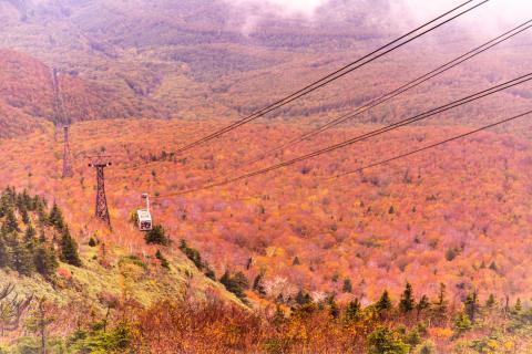 風と雨は止んでいま...