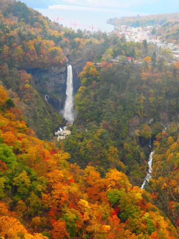 みなさま、こんにち...