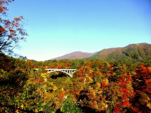 鳴子峡の紅葉は見頃...