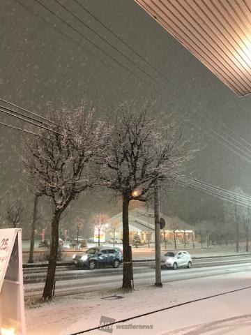 ドカドカ降って来ま...