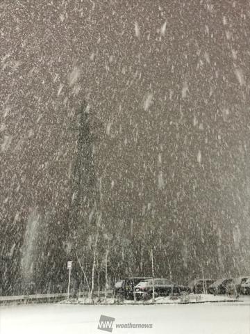 雪は強い降り方で...