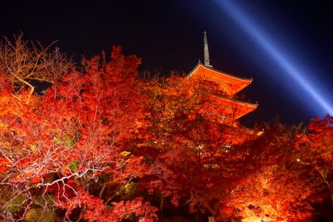 清水寺の夜間拝観。...