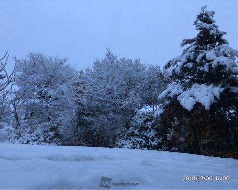 午後から降って来た...