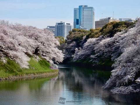 おはようございます...