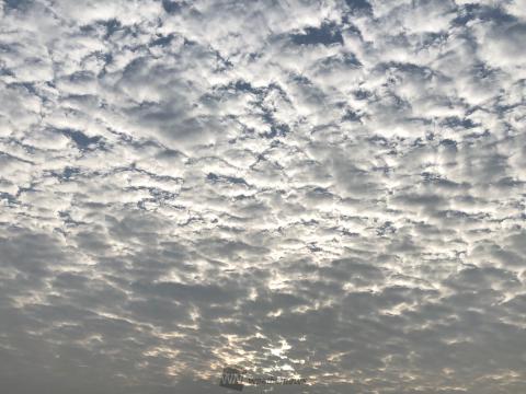 関東でひつじ雲が出現中！ 注目の空の写真 ウェザーニュース