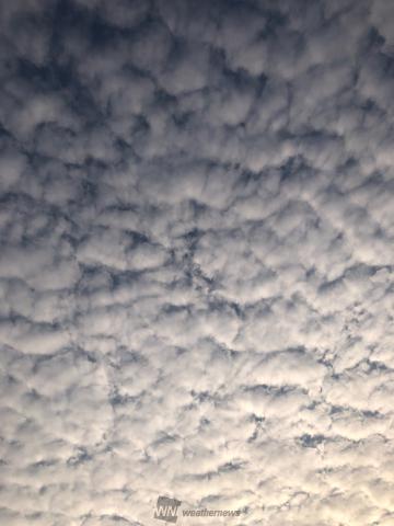 関東でひつじ雲が出現中！ 注目の空の写真 ウェザーニュース