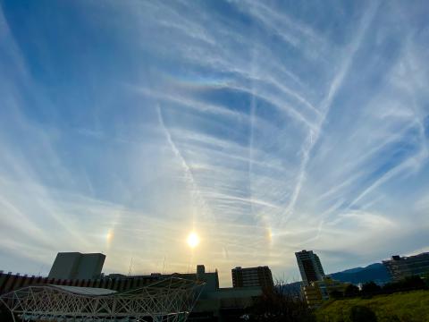 こんにちは。虹色...