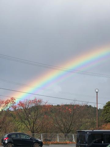 七色です。晴れたり...