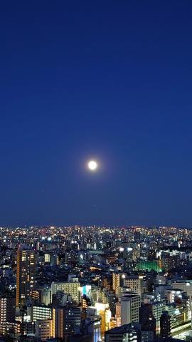 こんばんは(^ー^...